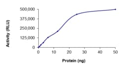Sino Biological&nbsp;Recombinant Human c-MET/HGFR Protein (H1094Y, GST Tag), Active